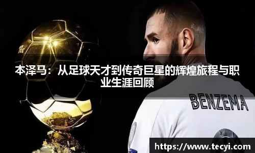 zoty中欧官方网站